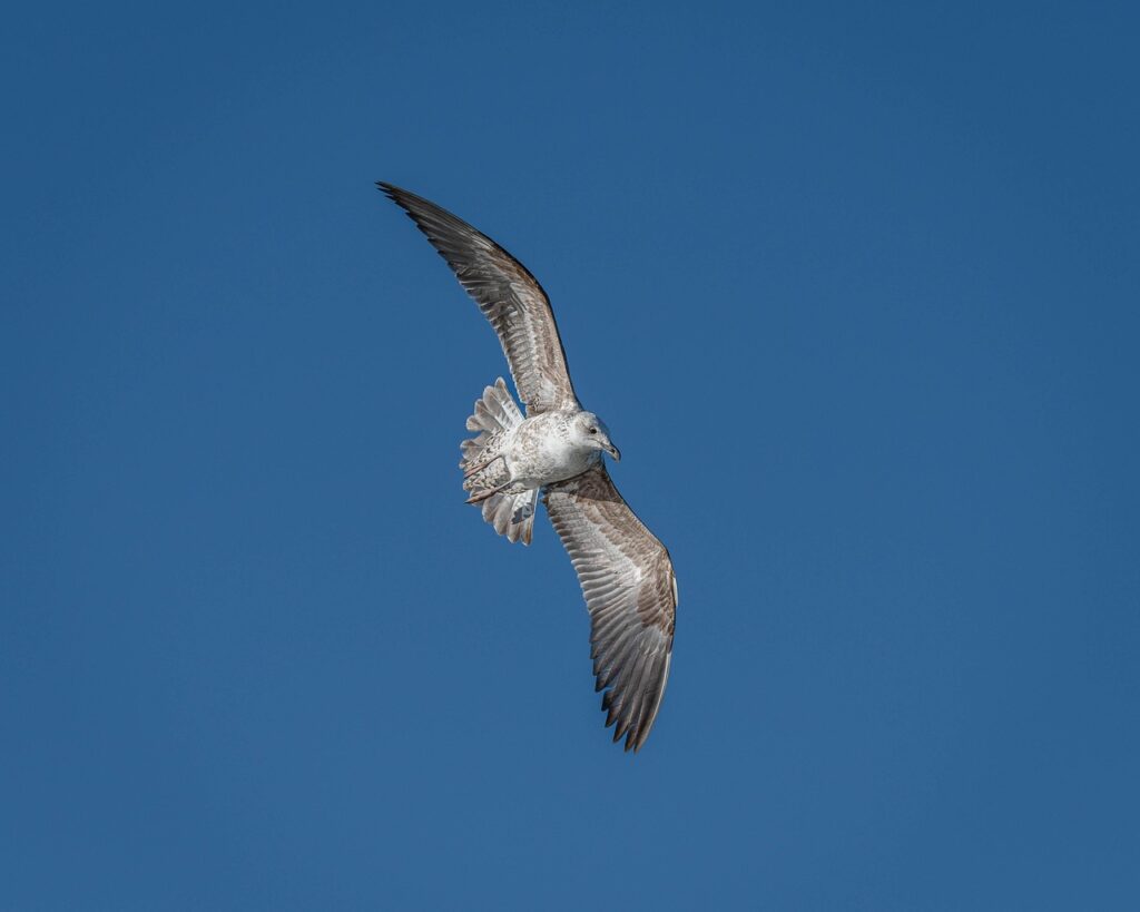 復縁を希望するあなたがカウンセラーに相談すべき理由は？