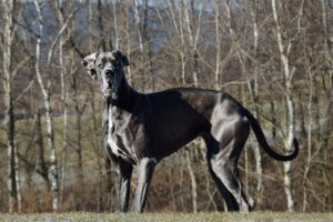 元彼を嫉妬させる方法にはどんなテクニックがある？