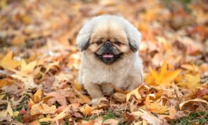 元彼が戻ってくる心理とはどのようなものか？