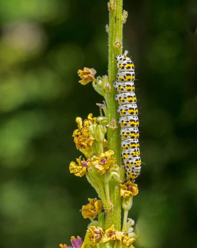 復縁を成功させるための美容おすすめ項目は？