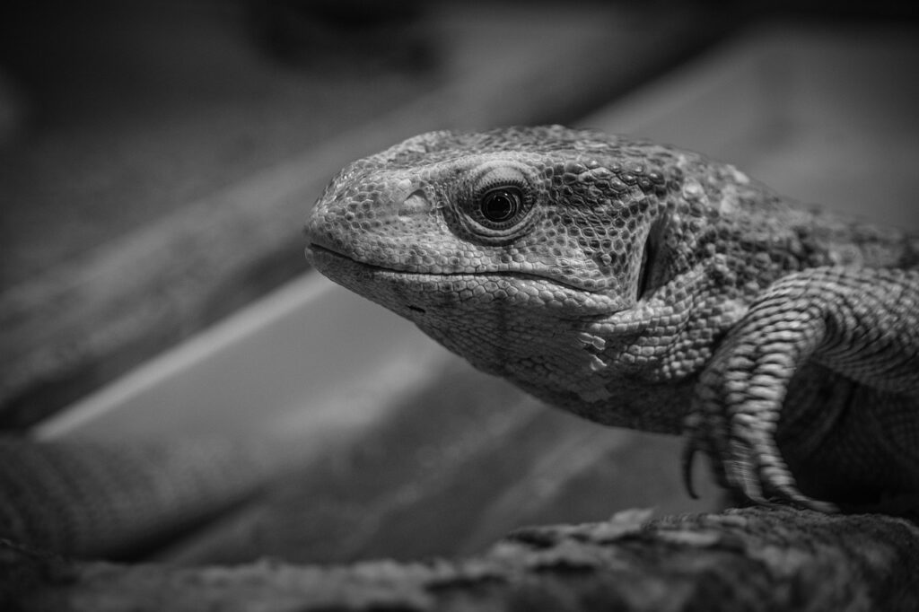 復縁を考えるあなたがモヤモヤする時の対処法は？