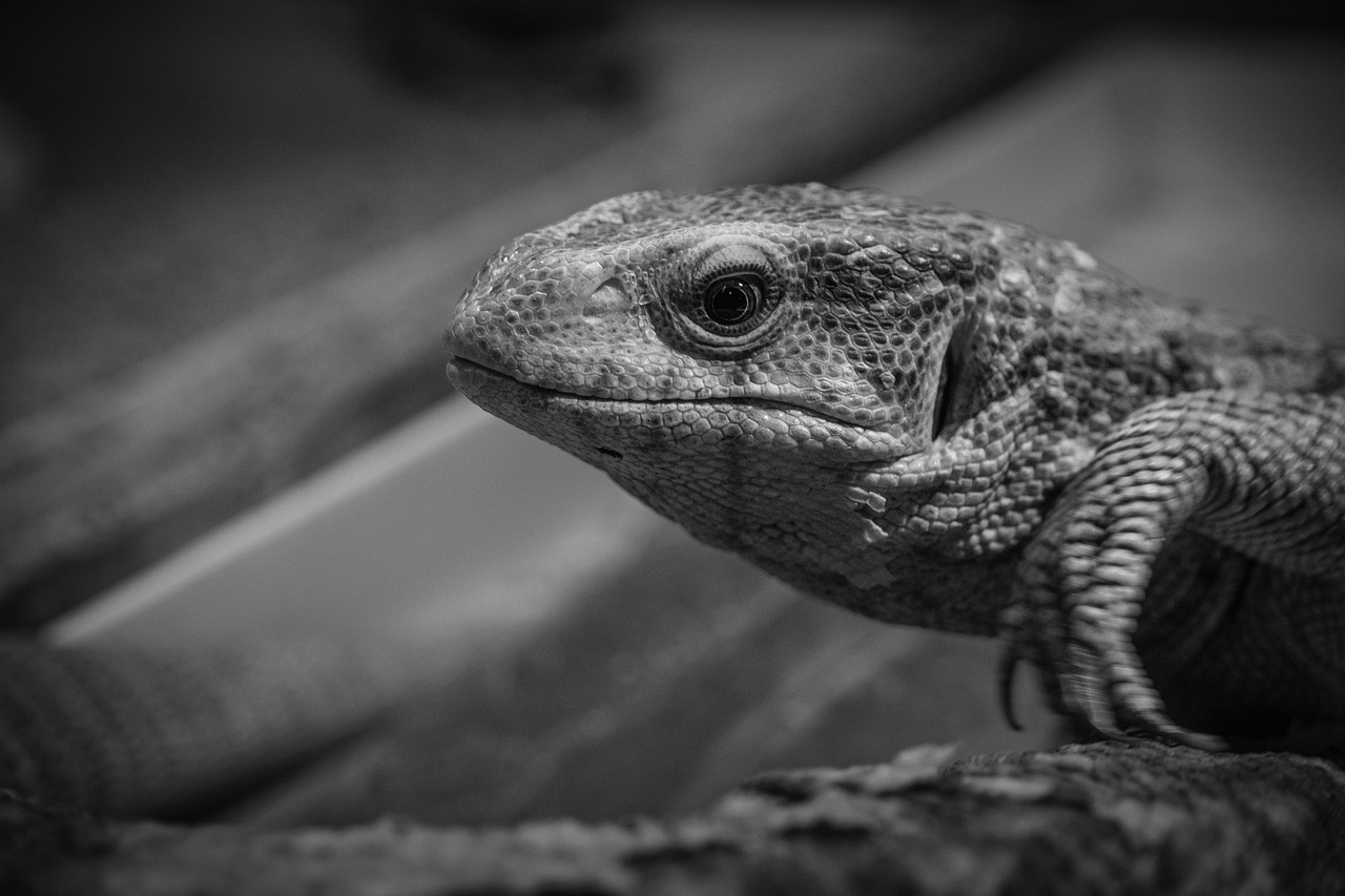 復縁を考えるあなたがモヤモヤする時の対処法は？