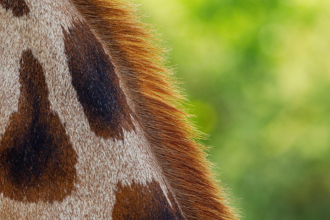 復縁を考える際、新彼女がいる場合の行動はどうするべき？