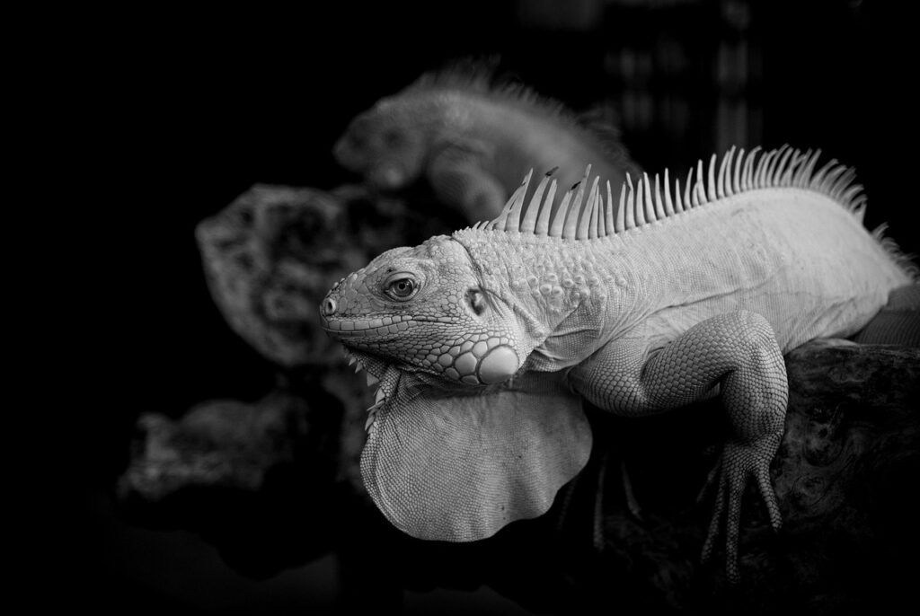 復縁の本音を知るために気づくワークとは？