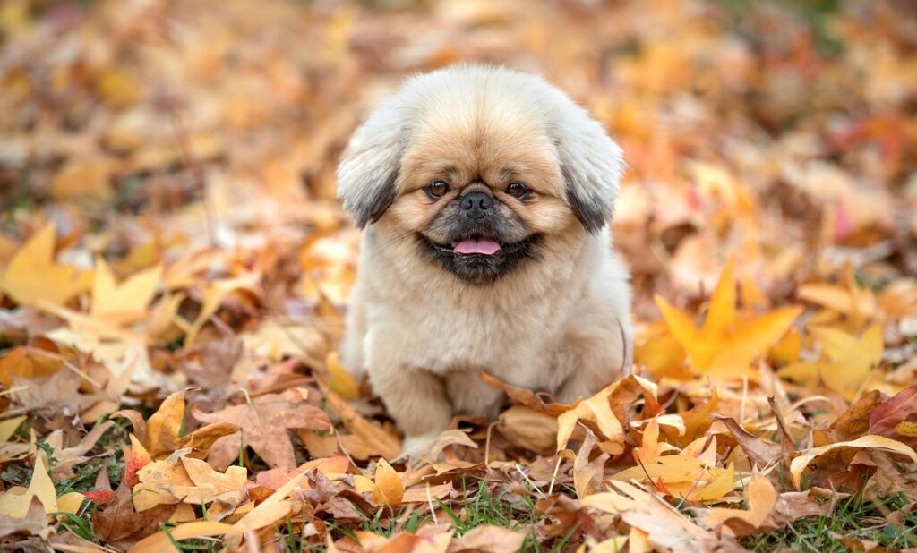 復縁を望む人が病む理由とその心理とは？