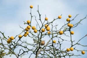 復縁を目指す自然消滅からの復活に向けた相談のおすすめは？