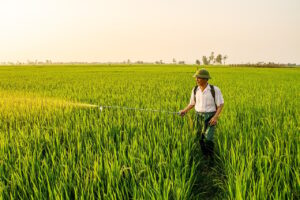 復縁引き寄せの専門家によるおすすめ方法を比較してみる？